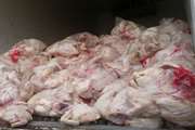 ضبط و معدوم سازی 214 کیلوگرم مرغ قطعه بندی منجمد غیربهداشتی در شهرستان سرخه