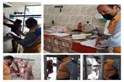 تلاش بی وفقه کارشناسان ناظر بهداشتی دامپزشکی شهرستان آرادان در اجرای طرح تشدید نظارت بهداشتی