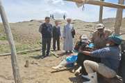 برگزاری پنجمین اردوی جهادی دامپزشکی استان سمنان در مناطق محروم