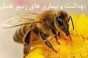 برگزاری دوره آموزشی بهداشت و بیماری های زنبور عسل