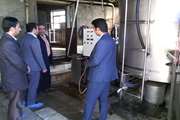 مراکز عرضه لبنیات و شیرخام شهرستان سمنان زیر ذره بین دامپزشکی
