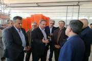 بازدید دکتر سعیدی مدیر کل محترم دامپزشکی استان سمنان از مجموعه جمع آوری شیر (آریا شیر) شهرستان شاهرود 26اردیبهشت 97