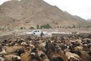 عشایرروستای فولادمحله(شهرستان مهدیشهر)