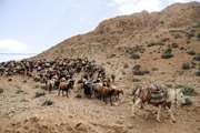 عشایراستان سمنان (ایل سنگسر)