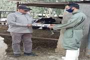 اجرای طرح اردوی جهادی توسط اداره دامپزشکی شهرستان گرمسار