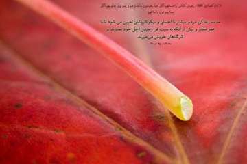سلامت روح