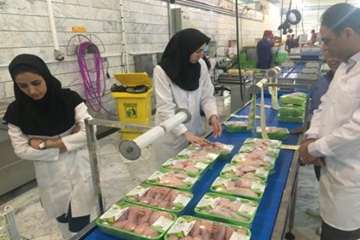 اجرای طرح تشدید نظارت بهداشتی ویژه ایام نوروزتوسط کارشناسان نظارت اداره کل دامپزشکی استان سمنان درشه