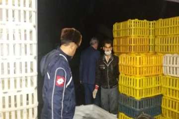 بازدید سرزده دکتر سعیدی مدیر کل دامپزشکی استان سمنان از کشتارگاه های طیورآزادبال شرق وایوان چکاوک شه