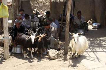 عشایرروستای فولادمحله(شهرستان مهدیشهر)