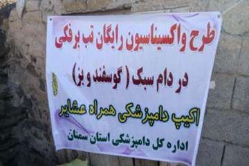 اکیپ دامپزشکی همراه عشایر ،طرح واکسیناسیون رایگان تب برفکی 21/1/95