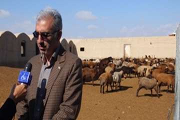 مصاحبه مدیرکل دامپزشکی استان سمنان در خصوص واکسیناسیون آبله و شاربن