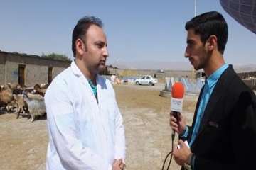 مصاحبه دکتر هاشم زاده معاون  محترم سلامت اداره کل دامپزشکی استان وحجت السلام سجادی مسئول دفتر نمایند