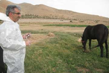 مصاحبه مدیر کل دامپزشکی استان سمنان در خصوص تست مشمشه