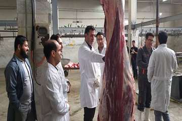 بازدید دکتر حسینی مدیر کل محترم دامپزشکی استان به اتفاق هیئت همراه از کشتارگاه دام شهرستان شاهرود 26