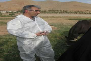 مصاحبه مدیر کل دامپزشکی استان سمنان در خصوص تست مشمشه