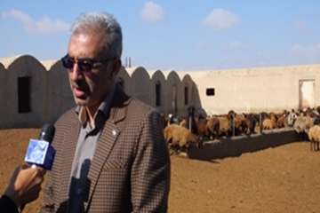 مصاحبه مدیرکل دامپزشکی استان سمنان در خصوص واکسیناسیون آبله و شاربن