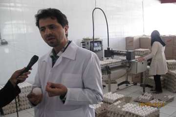 بارکدگزاری تخم مرغ