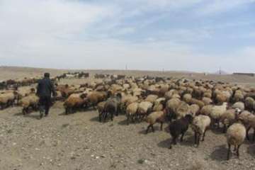 عشایراستان سمنان (ایل سنگسر)