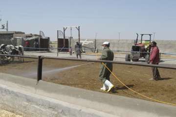 مبارزه با بیماری لمپی اسکین