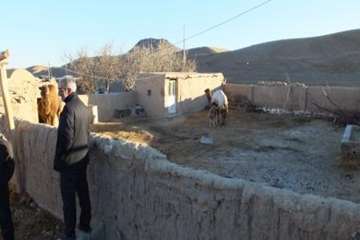 بازدید دکتر محمد سعیدی مدیر کل محترم دامپزشکی از مناطق محروم شرق استان سمنان ( روستای رضا آباد)
