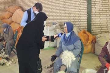 گزارش خبری  دکترهاشم زاده معاون سلامت اداره کل دامپزشکی استان سمنان به مناسبت روزجهانی دامپزشکی ((صا