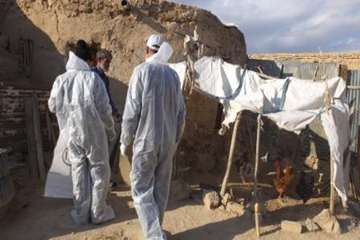 آلبوم شماره دو اکیپ های معدوم سازی کانون روستایی آنفلوانزای فوق حاد پرندگان روستای مومن شهرستان سرخه