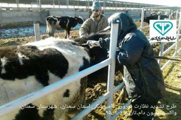 دومین آلبوم تصاویرطرح تشدید نوروز95اداره کل دامپزشکی استان سمنان