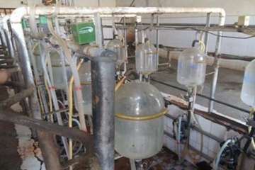 گاوداری گاوشیری- روستای میغان شهرستان شاهرود