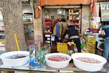 گزارش خبری درخصوص ماهی قرمز  توسط جناب آقای (دکتر جاوید پور)14اسفند96