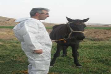 مصاحبه مدیر کل دامپزشکی استان سمنان در خصوص تست مشمشه