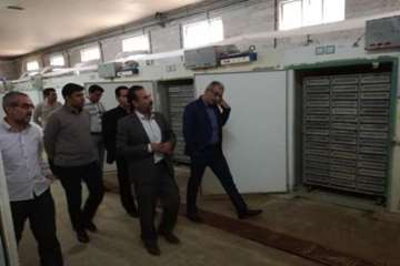 بازدید دکتر سعیدی مدیرکل دامپزشکی استان سمنان ازیک فرم جوجه کشی واقع درشهر ایوانکی   17آبان 96