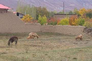عشایرروستای فولادمحله(شهرستان مهدیشهر)