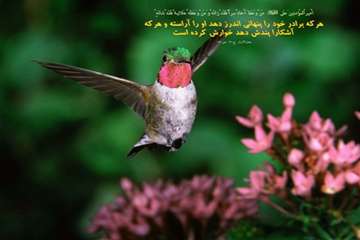 مجموعه عکس ها همراه با احادیث