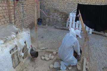 آلبوم شماره دو اکیپ های معدوم سازی کانون روستایی آنفلوانزای فوق حاد پرندگان روستای مومن شهرستان سرخه
