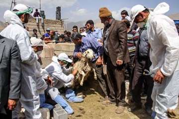 عشایراستان سمنان (ایل سنگسر)