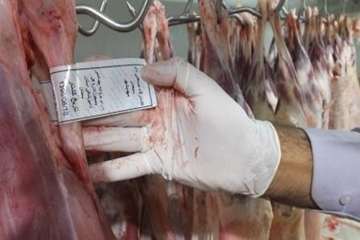 بازدیدازاکیپ های ثابت وسیار شهرستانهای سمنان ،مهدشهروسرخه طرح تشدید عید قربان 10شهریور 96