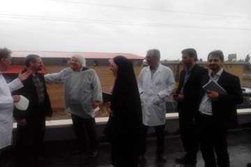 بازدید دکترسعیدی مدیرکل دامپزشکی استان به اتفاق دکترمهدوی نژادمدیرکل دفتردارو ودرمان سازمان دامپزشکی