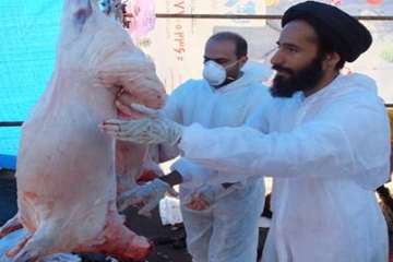 بازدیدازاکیپ های ثابت وسیار شهرستانهای سمنان ،مهدشهروسرخه طرح تشدید عید قربان 10شهریور 96