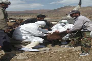 مصاحبه مدیر کل دامپزشکی استان سمنان در خصوص واکسیناسیون