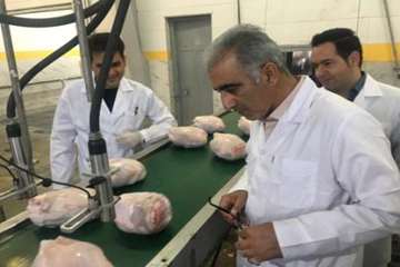بازدید دکتر سعیدی مدیرکل دامپزشکی استان سمنان از کشتارگاه مرغ یک ایوان چکاوک شهرستان گرمسار 12تیر 97