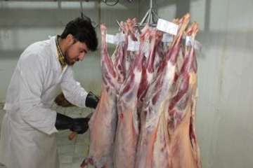 بازدیدازاکیپ های ثابت وسیار شهرستانهای سمنان ،مهدشهروسرخه طرح تشدید عید قربان 10شهریور 96