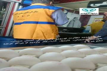 سومین  آلبوم تصاویرطرح تشدید نوروز95اداره کل دامپزشکی استان سمنان