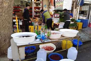 گزارش خبری درخصوص ماهی قرمز  توسط جناب آقای (دکتر جاوید پور)14اسفند96
