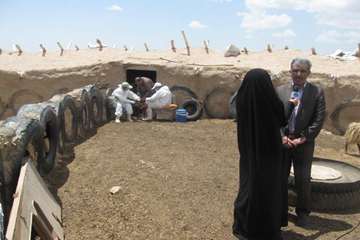  واکسیناسیون آیله وشاربن