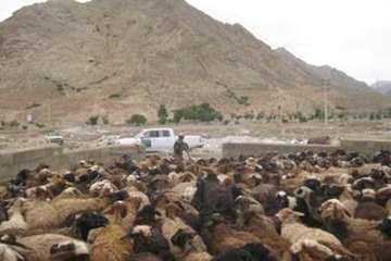 عشایرروستای فولادمحله(شهرستان مهدیشهر)