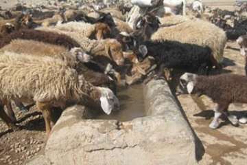عشایرروستای فولادمحله(شهرستان مهدیشهر)