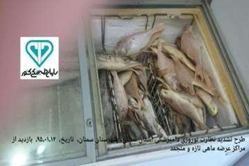 سومین  آلبوم تصاویرطرح تشدید نوروز95اداره کل دامپزشکی استان سمنان