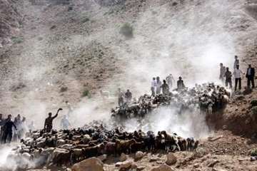 عشایراستان سمنان (ایل سنگسر)