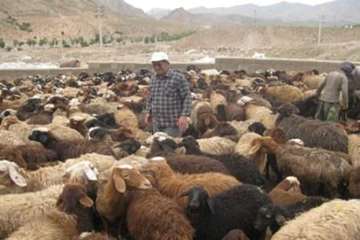 عشایرروستای فولادمحله(شهرستان مهدیشهر)