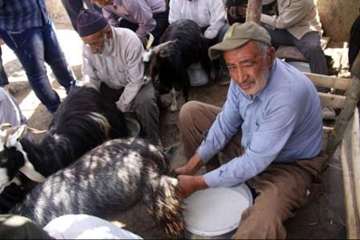 عشایرروستای فولادمحله(شهرستان مهدیشهر)